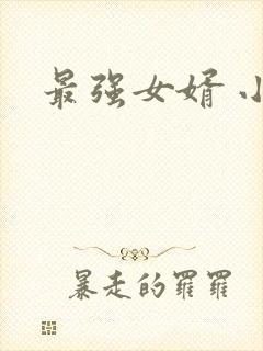 最强女婿 小说