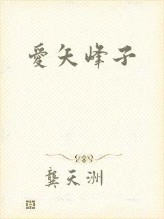 爱矢峰子封面