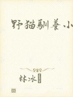 野猫驯养小说