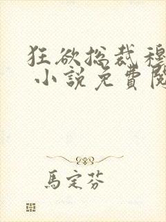 狂欲总裁穆非雪 小说免费阅读封面