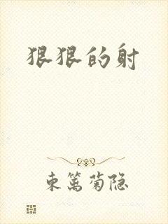 狠狠的射