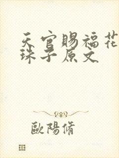 天官赐福花怜塞珠子原文封面