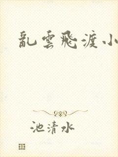 乱云飞渡小说封面