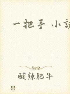 一把手 小说