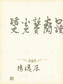 赌小说木口银全文免费阅读笔趣阁