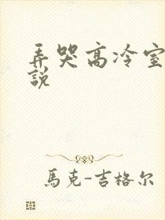 弄哭高冷室友小说