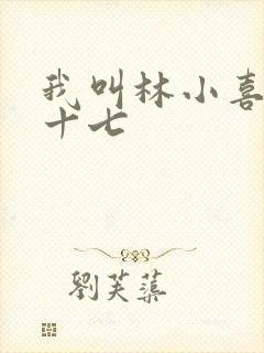 我叫林小喜今年十七封面
