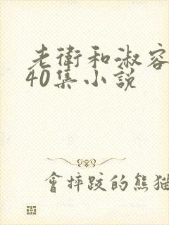 老卫和淑容1-40集小说封面