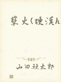 孽火(硬汉h)