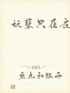 妖孽只在夜里哭