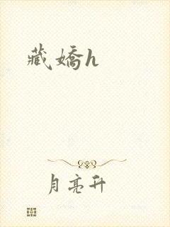 藏娇h