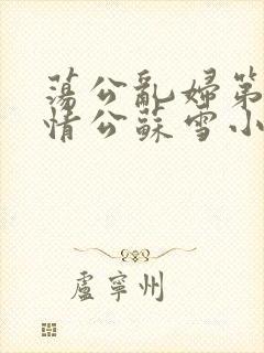 荡公乱妇第1章情公苏雪小说