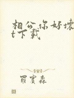 相公你好坏txt下载