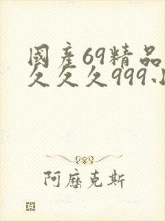 国产69精品久久久久999小说封面