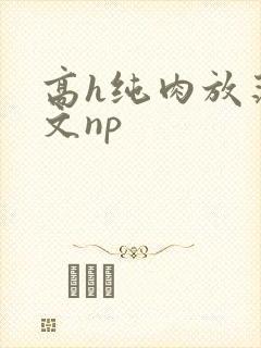 高h纯肉放荡h文np