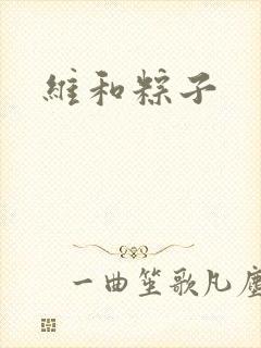 维和粽子
