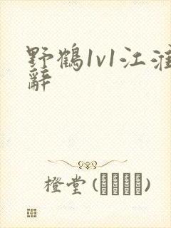 野鹤1v1江淮辞封面