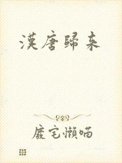 汉唐归来封面