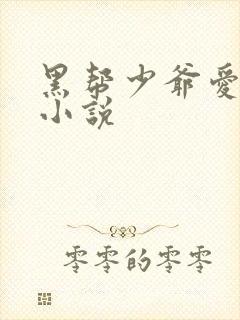 黑帮少爷爱上我小说封面