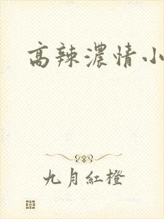 高辣浓情小说