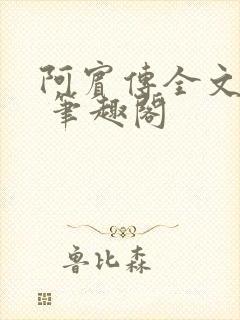 阿宾传全文阅读 笔趣阁