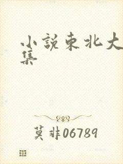 小说东北大炕全集