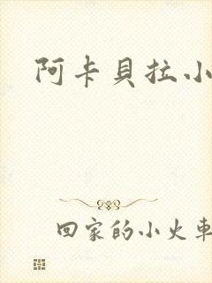 阿卡贝拉小说