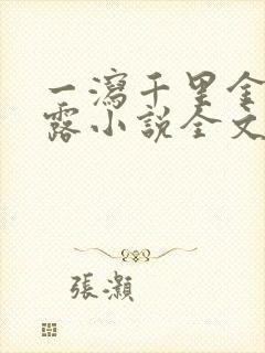 一泻千里金银花露小说全文免费阅读