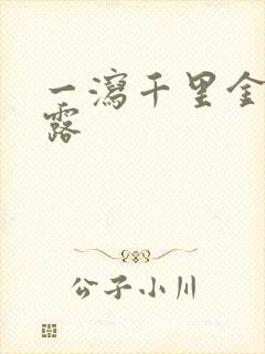 一泻千里金银花露