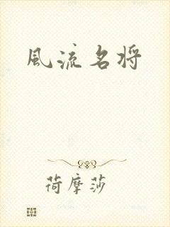 风流名将封面