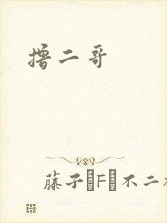 撸二哥