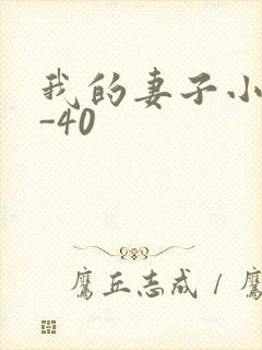 我的妻子小谨1-40