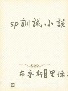sp训诫小说