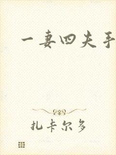 一妻四夫手记封面