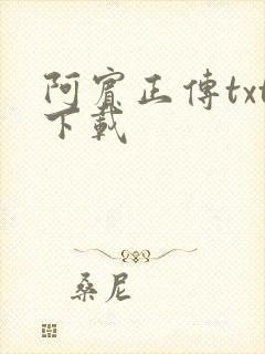 阿宾正传txt下载
