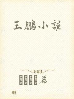 王鹏小说