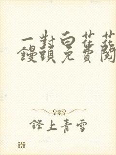 一对白花花的大馒头免费阅读封面