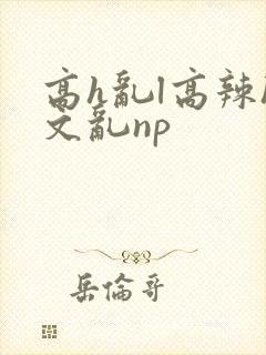 高h乱l高辣h文乱np