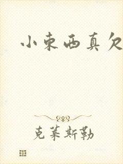 小东西真欠弄