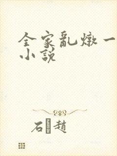 全家乱炖一锅烩小说