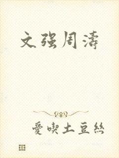 文强周涛封面