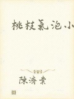 桃枝气泡小说