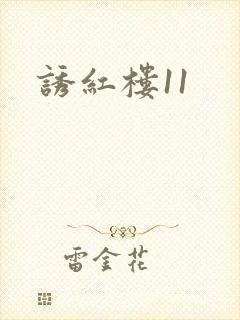 诱红楼11