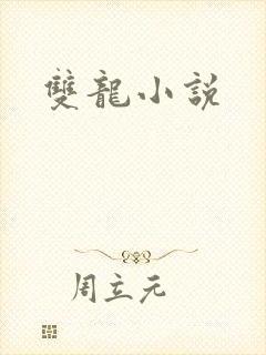 双龙小说封面