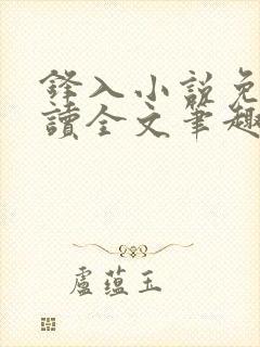 锋入小说免费阅读全文笔趣阁封面
