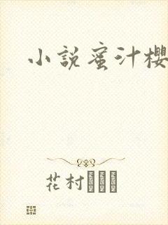 小说蜜汁樱桃封面