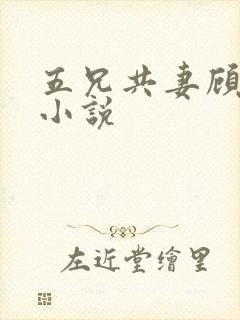 五兄共妻顾心儿小说