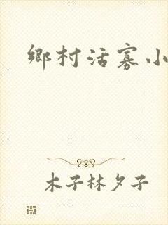 乡村活寡小说