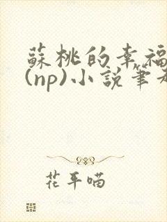 苏桃的幸福生活(np)小说笔趣阁