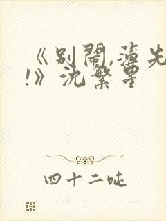 《别闹,薄先生!》沈繁星封面